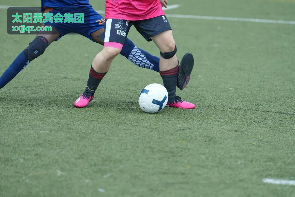 太阳贵宾会集团商务社交服务